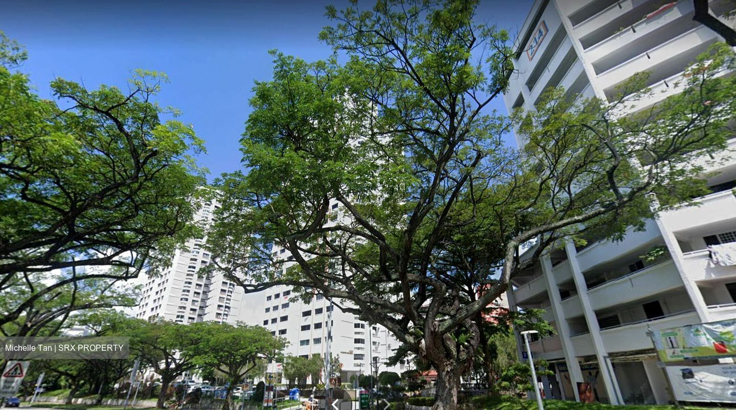 Jurong East Street 21 (D22), Shop House #453517021